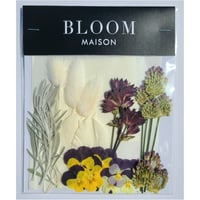 押し花｜花材セット ビオラ Pressed Flower Kit インテリア・ギフト・ウェルカムボードなどのハンドメイドに　F-1117　BLOOM MAISON