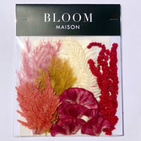 押し花｜花材セット  ケイトウ　Pressed Flower Kit インテボードリア・ギフト・ウェルカムなどのハンドメイドに　F-1208　BLOOM MAISON