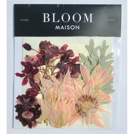 押し花｜花材セット セルリア Pressed Flower Kit インテリア・ギフト・ウェルカムボードなどのハンドメイドに　F-1093　BLOOM MAISON