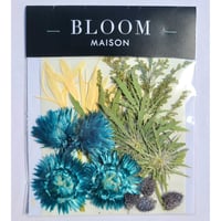 押し花｜花材セット エリンジューム Pressed Flower Kit インテリア・ギフト・ウェルカムボードなどのハンドメイドに　F-1098　BLOOM MAISON