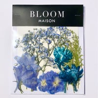押し花｜花材セット  カスミソウ　Pressed Flower Kit インテボードリア・ギフト・ウェルカムなどのハンドメイドに　F-1163　BLOOM MAISON