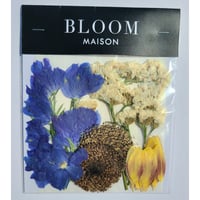 押し花｜花材セット  ヒマワリ  Pressed Flower Kit インテリア・ギフト・ウェルカムボードなどのハンドメイドに　F-1127　BLOOM MAISON