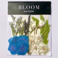 押し花｜花材セット  ラベンダー　Pressed Flower Kit インテボードリア・ギフト・ウェルカムなどのハンドメイドに　F-1184　BLOOM MAISON