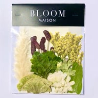 押し花｜花材セット  ワレモコウ　Pressed Flower Kit インテボードリア・ギフト・ウェルカムなどのハンドメイドに　F-1204　BLOOM MAISON