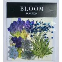 押し花｜花材セット リンドウ Pressed Flower Kit インテリア・ギフト・ウェルカムボードなどのハンドメイドに　F-1099　BLOOM MAISON