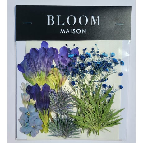 押し花｜花材セット リンドウ Pressed Flower Kit インテリア・ギフト・ウェルカムボードなどのハンドメイドに　F-1099　BLOOM MAISON