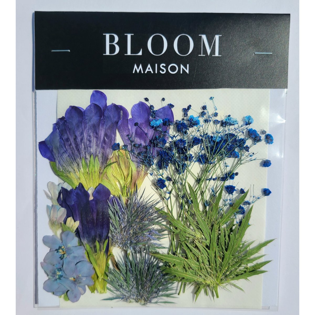 押し花｜花材セット リンドウ Pressed Flower Kit インテリア・ギフト