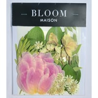 押し花｜花材セット アストランティア Pressed Flower Kit インテリア・ギフト・ウェルカムボードなどのハンドメイドに　F-1100　BLOOM MAISON