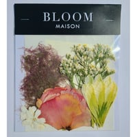 押し花｜花材セット スモークツリー Pressed Flower Kit インテリア・ギフト・ウェルカムボードなどのハンドメイドに　F-1111　BLOOM MAISON