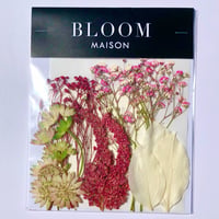 押し花｜花材セット  カスミソウ  Pressed Flower Kit インテボードリア・ギフト・ウェルカムなどのハンドメイドに　F-1149　BLOOM MAISON