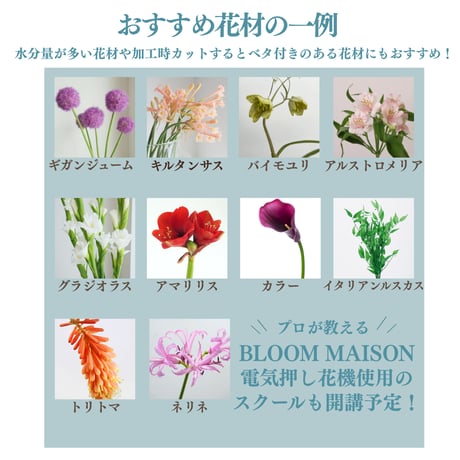 【電気押し花機 押し花制作キット】｜プロ仕様・厳選 資材セット｜自宅で簡単きれいに時短で押し花｜初心者～プロまで｜BLOOM　MAISON｜押し花花材・ハンドメイド