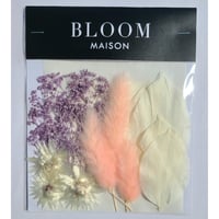 押し花｜花材セット ラグラス Pressed Flower Kit インテリア・ギフト・ウェルカムボードなどのハンドメイドに　F-1096　BLOOM MAISON