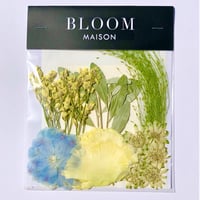 押し花｜花材セット  トルコキキョウ  Pressed Flower Kit インテボードリア・ギフト・ウェルカムなどのハンドメイドに　F-1150　BLOOM MAISON