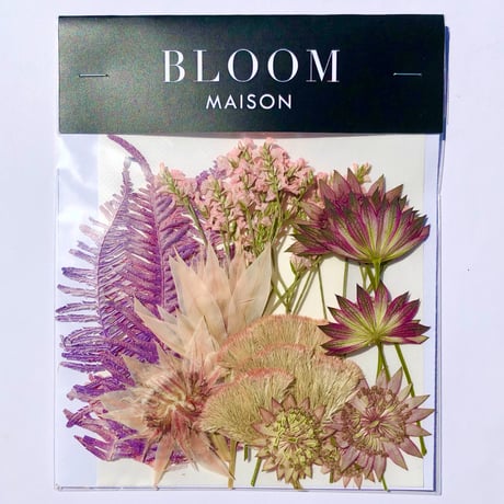 押し花｜花材セット 　HBスターチス　Pressed Flower Kit インテボードリア・ギフト・ウェルカムなどのハンドメイドに　F-1217　BLOOM MAISON