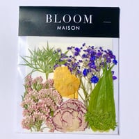押し花｜花材セット  ライスフラワー  Pressed Flower Kit インテボードリア・ギフト・ウェルカムなどのハンドメイドに　F-1145　BLOOM MAISON