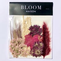 押し花｜花材セット  テールリード　Pressed Flower Kit インテボードリア・ギフト・ウェルカムなどのハンドメイドに　F-1214　BLOOM MAISON