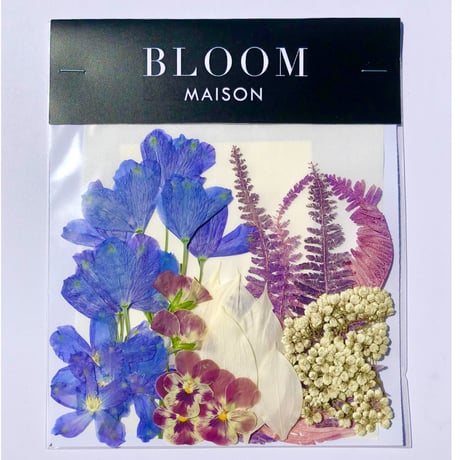 押し花｜花材セット  ビオラ Pressed Flower Kit インテボードリア・ギフト・ウェルカムなどのハンドメイドに　F-1151　BLOOM MAISON