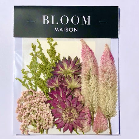 押し花｜花材セット  セロシア　Pressed Flower Kit インテボードリア・ギフト・ウェルカムなどのハンドメイドに　F-1179　BLOOM MAISON