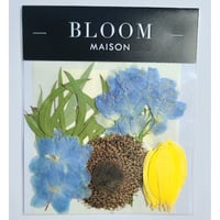 押し花｜花材セット ヒマワリ Pressed Flower Kit インテリア・ギフト・ウェルカムボードなどのハンドメイドに　F-1116　BLOOM MAISON