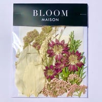 押し花｜花材セット  ルスカス丸葉　Pressed Flower Kit インテボードリア・ギフト・ウェルカムなどのハンドメイドに　F-1159　BLOOM MAISON