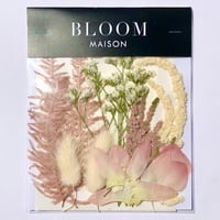 押し花｜花材セット 　アスチルベ　Pressed Flower Kit インテボードリア・ギフト・ウェルカムなどのハンドメイドに　F-1215　BLOOM MAISON