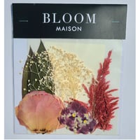 押し花｜花材セット  トルコキキョウ Pressed Flower Kit インテリア・ギフト・ウェルカムボードなどのハンドメイドに　F-1119　BLOOM MAISON