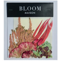 押し花｜花材セット  ケイトウ Pressed Flower Kit インテリア・ギフト・ウェルカムボードなどのハンドメイドに　F-1121　BLOOM MAISON