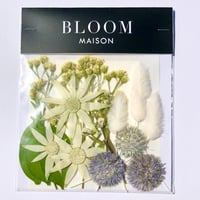 押し花｜花材セット  ラグラス  Pressed Flower Kit インテボードリア・ギフト・ウェルカムなどのハンドメイドに　F-1147　BLOOM MAISON