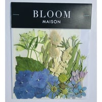 押し花｜花材セット  アジサイ  Pressed Flower Kit インテリア・ギフト・ウェルカムボードなどのハンドメイドに　F-1130　BLOOM MAISON