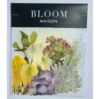 押し花｜花材セット  アジサイ  Pressed Flower Kit インテリア・ギフト・ウェルカムボードなどのハンドメイドに　F-1122　BLOOM MAISON