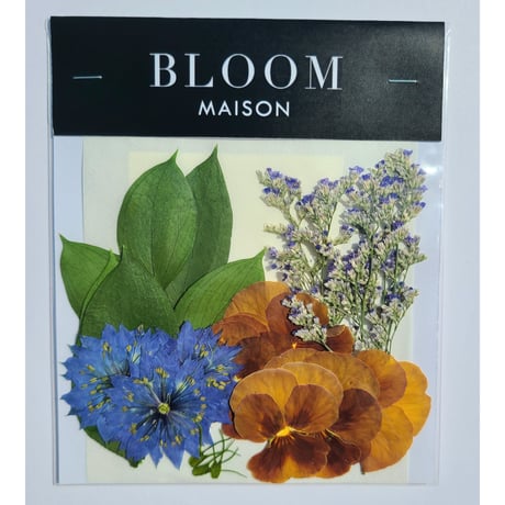 押し花｜花材セット ビオラ Pressed Flower Kit インテリア・ギフト・ウェルカムボードなどのハンドメイドに　F-1107　BLOOM MAISON