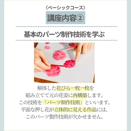 【お申込み申請】2026年開講｜PFAP認定アーティスト講座ベーシックコース