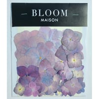 押し花｜花材セット  アジサイ  Pressed Flower Kit インテリア・ギフト・ウェルカムボードなどのハンドメイドに　F-1131　BLOOM MAISON