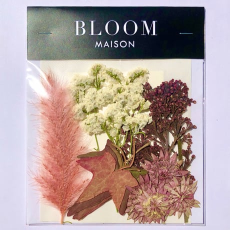 押し花｜花材セット 　アイビー　Pressed Flower Kit インテボードリア・ギフト・ウェルカムなどのハンドメイドに　F-1216　BLOOM MAISON