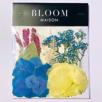 押し花｜花材セット  アジサイ　Pressed Flower Kit インテボードリア・ギフト・ウェルカムなどのハンドメイドに　F-1181　BLOOM MAISON