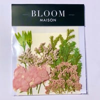 押し花｜花材セット  HBスターチス　Pressed Flower Kit インテボードリア・ギフト・ウェルカムなどのハンドメイドに　F-1174　BLOOM MAISON