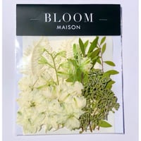 押し花｜花材セット  ラクスパー　Pressed Flower Kit インテボードリア・ギフト・ウェルカムなどのハンドメイドに　F-1173　BLOOM MAISON