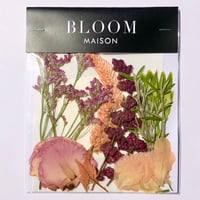 押し花｜花材セット  セロシア　Pressed Flower Kit インテボードリア・ギフト・ウェルカムなどのハンドメイドに　F-1213　BLOOM MAISON
