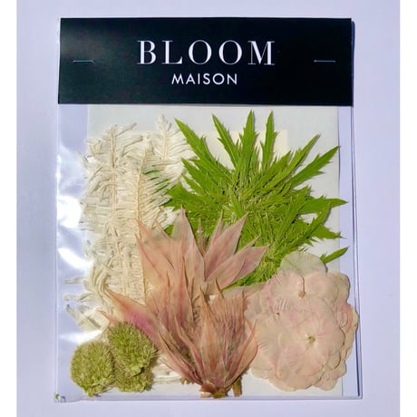 押し花｜花材セット  セルリア  Pressed Flower Kit インテリア・ギフト・ウェルカムボードなどのハンドメイドに　F-1135　BLOOM MAISON