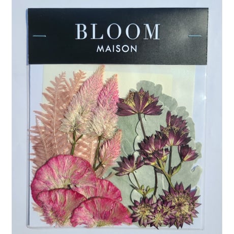 押し花｜花材セット ケイトウ Pressed Flower Kit インテリア・ギフト・ウェルカムボードなどのハンドメイドに　F-1097　BLOOM MAISON