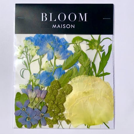 押し花｜花材セット  トルコキキョウ　Pressed Flower Kit インテボードリア・ギフト・ウェルカムなどのハンドメイドに　F-1170　BLOOM MAISON