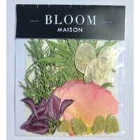 押し花｜花材セット  クレマチス  Pressed Flower Kit インテリア・ギフト・ウェルカムボードなどのハンドメイドに　F-1126　BLOOM MAISON