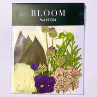 押し花｜花材セット  ビオラ　Pressed Flower Kit インテボードリア・ギフト・ウェルカムなどのハンドメイドに　F-1182　BLOOM MAISON