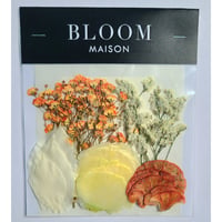 押し花｜花材セット カスミ草 Pressed Flower Kit インテリア・ギフト・ウェルカムボードなどのハンドメイドに　F-1110　BLOOM MAISON