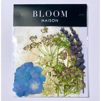 押し花｜花材セット  ラベンダー　Pressed Flower Kit インテボードリア・ギフト・ウェルカムなどのハンドメイドに　F-1158　BLOOM MAISON