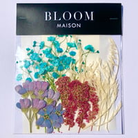 押し花｜花材セット  ブルースター  Pressed Flower Kit インテボードリア・ギフト・ウェルカムなどのハンドメイドに　F-1146　BLOOM MAISON
