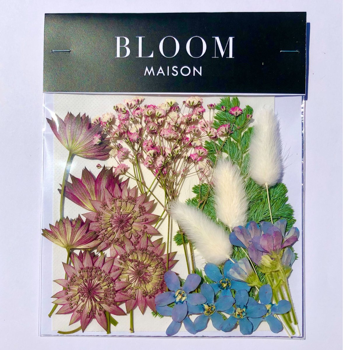 押し花｜花材セット アストランティア Pressed Flower Kit インテ