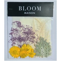 押し花｜花材セット ヒメヒマワリ Pressed Flower Kit インテリア・ギフト・ウェルカムボードなどのハンドメイドに　F-1113　BLOOM MAISON