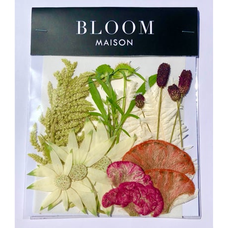 押し花｜花材セット  ケイトウ　Pressed Flower Kit インテボードリア・ギフト・ウェルカムなどのハンドメイドに　F-1164　BLOOM MAISON