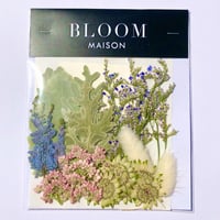 押し花｜花材セット  ダスティーミラー　Pressed Flower Kit インテボードリア・ギフト・ウェルカムなどのハンドメイドに　F-1185　BLOOM MAISON